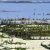 farming_seaweed_nlem_v_0766_bal4063.jpg
